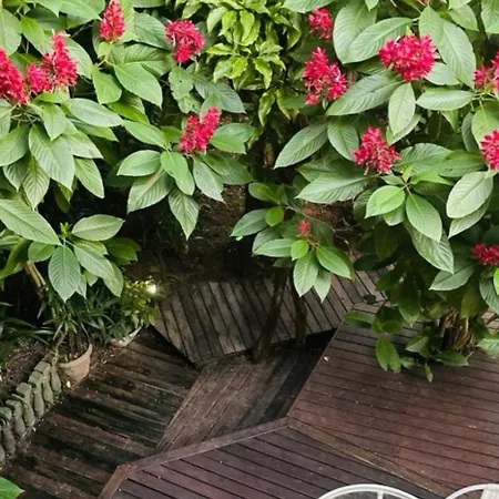 La Bella Villa Pousada-2